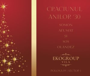 Eko Group Vila: O Evocare a Crăciunului Anilor '30 în Eleganța Interbelică